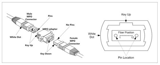 MPT MPO fiber connector