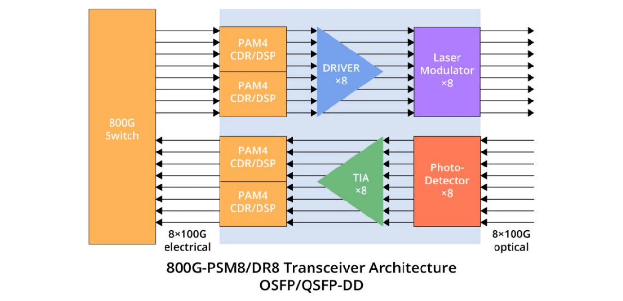 800G-PSM8 DR8 Transceiver Architecture OSFP QSFP-DD