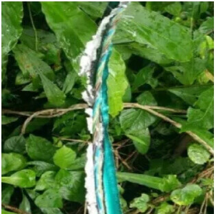 Normal armored fiber optic cable after being bitten by rodents